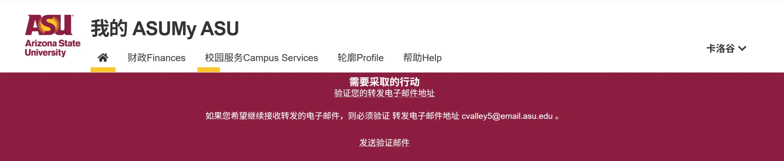 免费获取 Cursor Pro 学生高级账号教程（价值 0 附申请流程与功能评测）